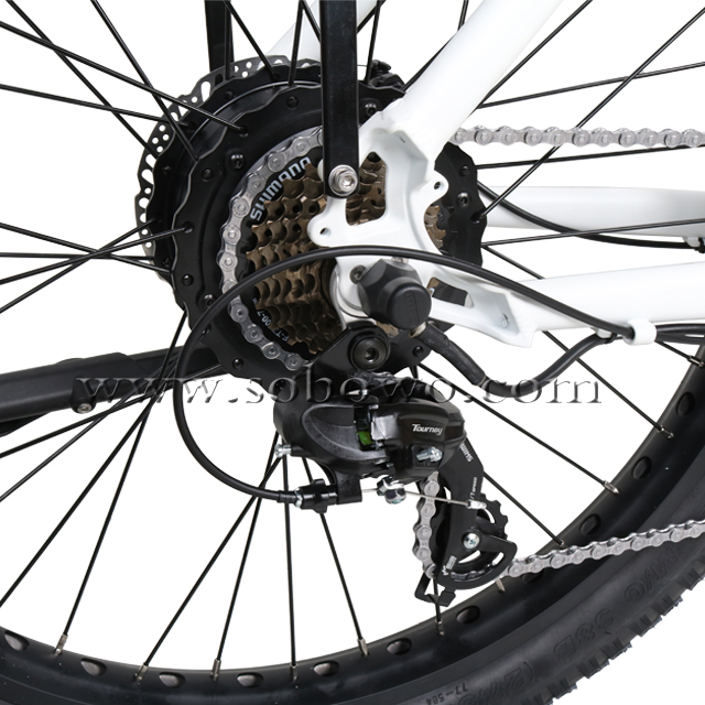 The Best Step Through Fat Tire Electric Bike for Sale