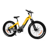 All terrian dual motor & torque sensor 48V 20AH 2000w Step Thru AWD Electric Fat Bike UrbanGlide- Sobowo
