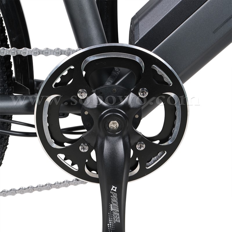 Cheap Electric Mountain Bike for Sale