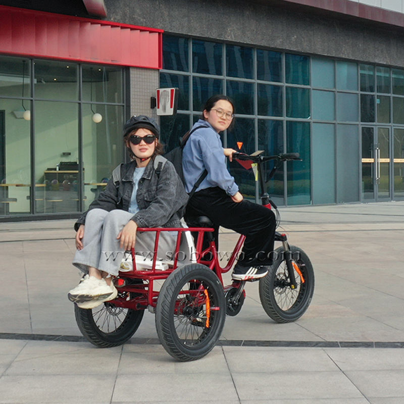 Sobowo 1000W mid drive electric tricycle