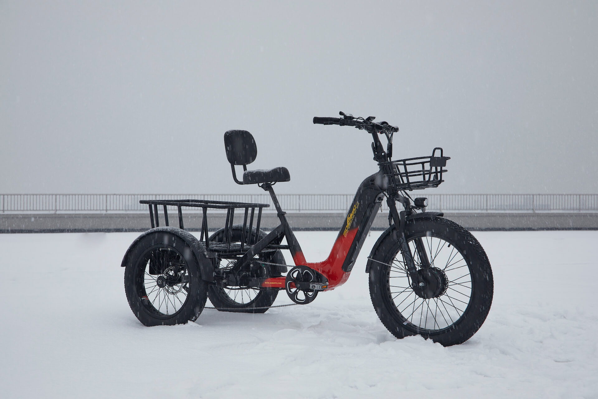 sobowo WN02 dual battery electric trike