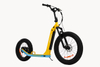 750W Fat Tire Electric Kickbike X6 - Sobowo